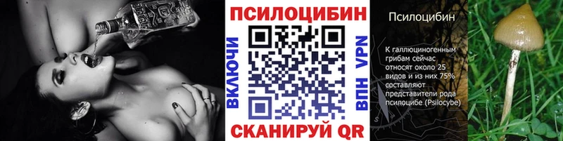 Купить где  Суджа  Псилоцибиновые грибы GOLDEN TEACHER 